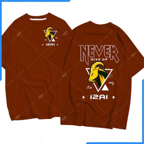 Mẫu áo lớp oversize màu gạch 12A1 nổi bật