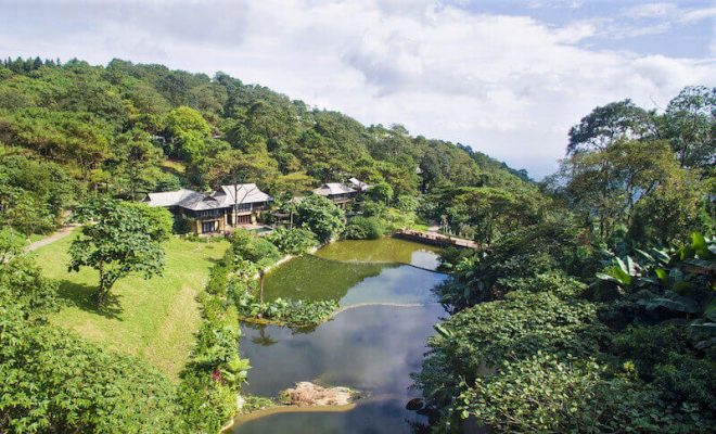 Vườn Quốc Gia Ba Vì có hệ thống thảm thực vật thiên nhiên phong phú