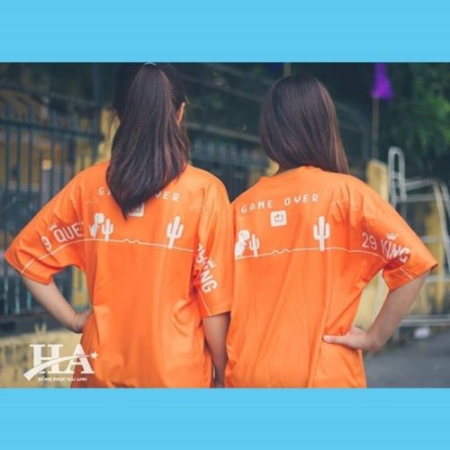 Hình in mặt sau mẫu áo lớp FlyZ với chất lượng sắc nét